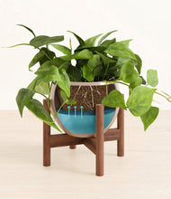 Lade das Bild in den Galerie-Viewer, Desert Brown stand:walnut