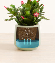 Load image into Gallery viewer, -