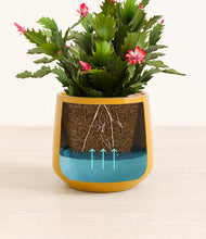 Load image into Gallery viewer, -