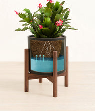 Load image into Gallery viewer, -