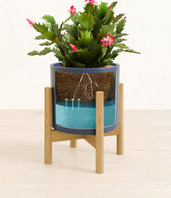 Load image into Gallery viewer, -