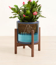 Load image into Gallery viewer, -