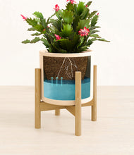 Load image into Gallery viewer, -