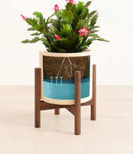 Load image into Gallery viewer, -