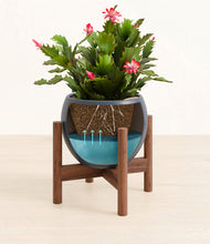 Load image into Gallery viewer, -