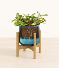 Load image into Gallery viewer, Deep Navy stand:bamboo