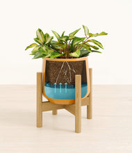 Load image into Gallery viewer, Mustard stand:bamboo