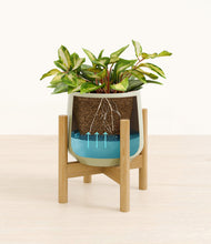 Load image into Gallery viewer, Turquoise stand:bamboo