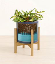 Load image into Gallery viewer, Deep Navy stand:bamboo