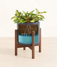 Load image into Gallery viewer, Deep Navy stand:walnut