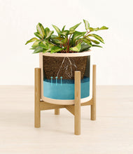 Load image into Gallery viewer, Cream stand:bamboo