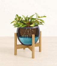 Load image into Gallery viewer, Deep Navy stand:bamboo