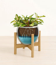 Load image into Gallery viewer, Deep Ocean stand:bamboo