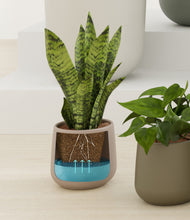 Load image into Gallery viewer, Countryside stand:all