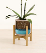 Load image into Gallery viewer, Eternal Gray stand:bamboo