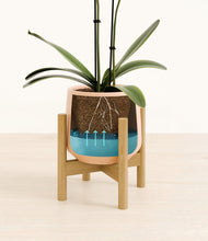 Load image into Gallery viewer, Gentle Pink stand:bamboo