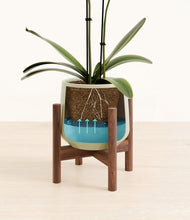 Load image into Gallery viewer, Turquoise stand:walnut