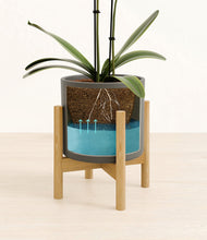 Load image into Gallery viewer, Dark Olive stand:bamboo