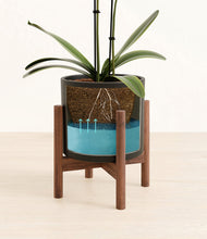 Load image into Gallery viewer, Black stand:walnut