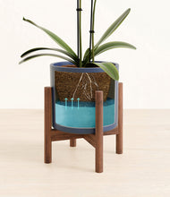 Load image into Gallery viewer, Deep Navy stand:walnut