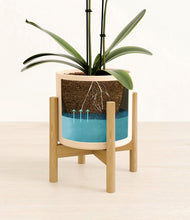 Load image into Gallery viewer, Cream stand:bamboo