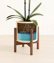 Load image into Gallery viewer, Cream stand:walnut