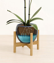 Load image into Gallery viewer, Deep Navy stand:bamboo