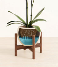 Load image into Gallery viewer, Shiny EggWhite stand:walnut