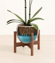 Load image into Gallery viewer, Winter Clouds stand:walnut