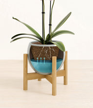 Load image into Gallery viewer, Deep Ocean stand:bamboo