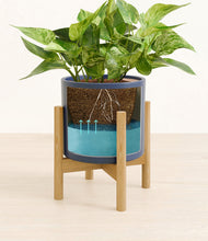 Load image into Gallery viewer, Deep Navy stand:bamboo