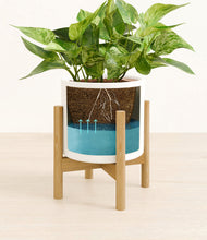 Load image into Gallery viewer, White stand:bamboo