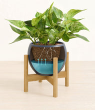 Load image into Gallery viewer, Deep Navy stand:bamboo