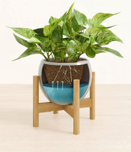 Load image into Gallery viewer, Deep Ocean stand:bamboo