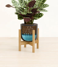 Load image into Gallery viewer, -