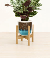 Load image into Gallery viewer, -