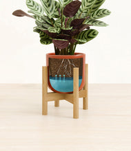 Load image into Gallery viewer, -