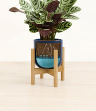 Load image into Gallery viewer, -