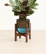 Load image into Gallery viewer, -