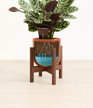 Load image into Gallery viewer, -