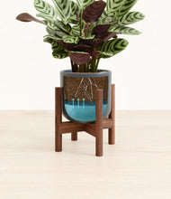 Load image into Gallery viewer, -