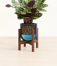 Load image into Gallery viewer, -