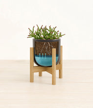 Load image into Gallery viewer, -