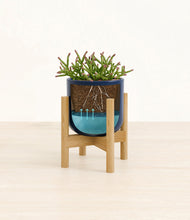 Load image into Gallery viewer, -