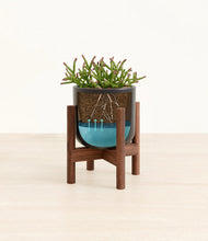 Load image into Gallery viewer, -