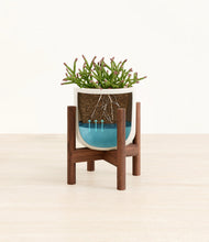 Load image into Gallery viewer, -