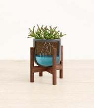 Load image into Gallery viewer, -