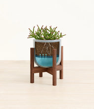 Load image into Gallery viewer, -