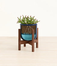 Load image into Gallery viewer, -