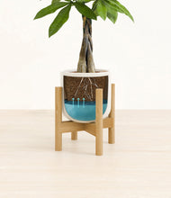 Load image into Gallery viewer, Cotton White stand:bamboo